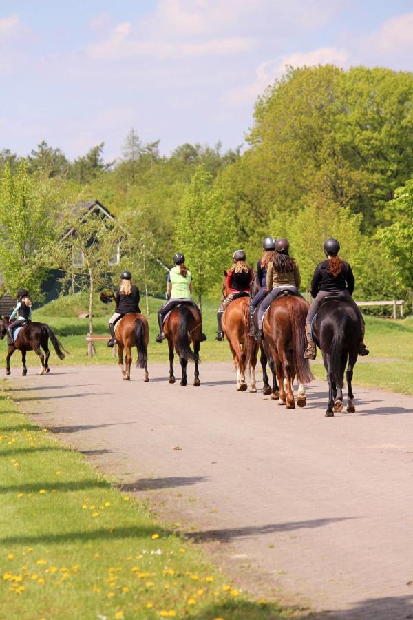 Horsetellerie Rheezerveen 하르덴베르크 외부 사진