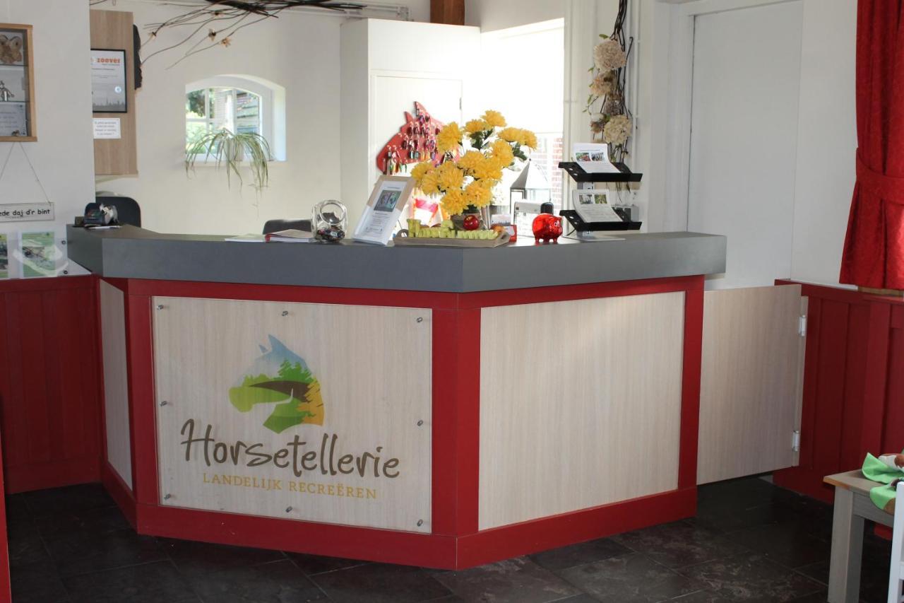 Horsetellerie Rheezerveen 하르덴베르크 외부 사진