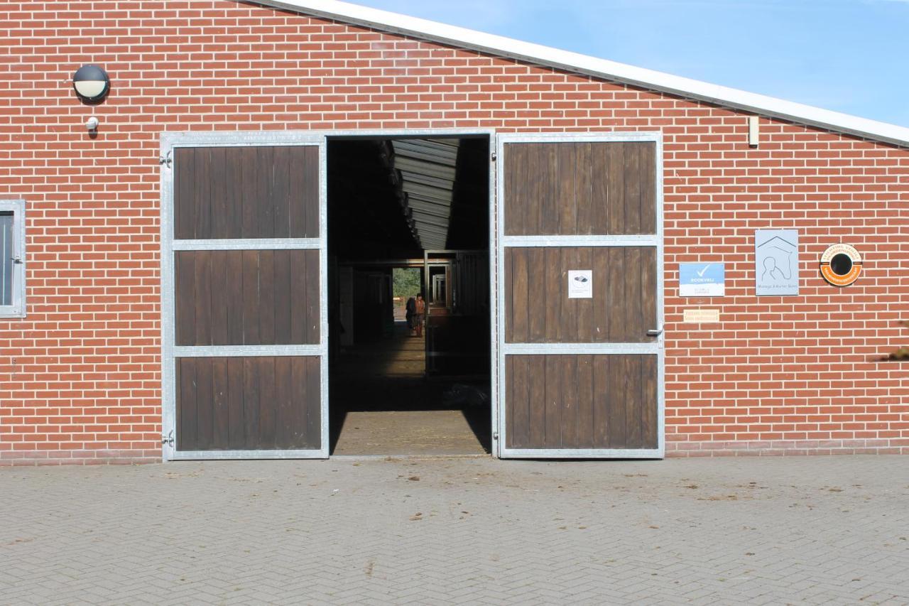 Horsetellerie Rheezerveen 하르덴베르크 외부 사진