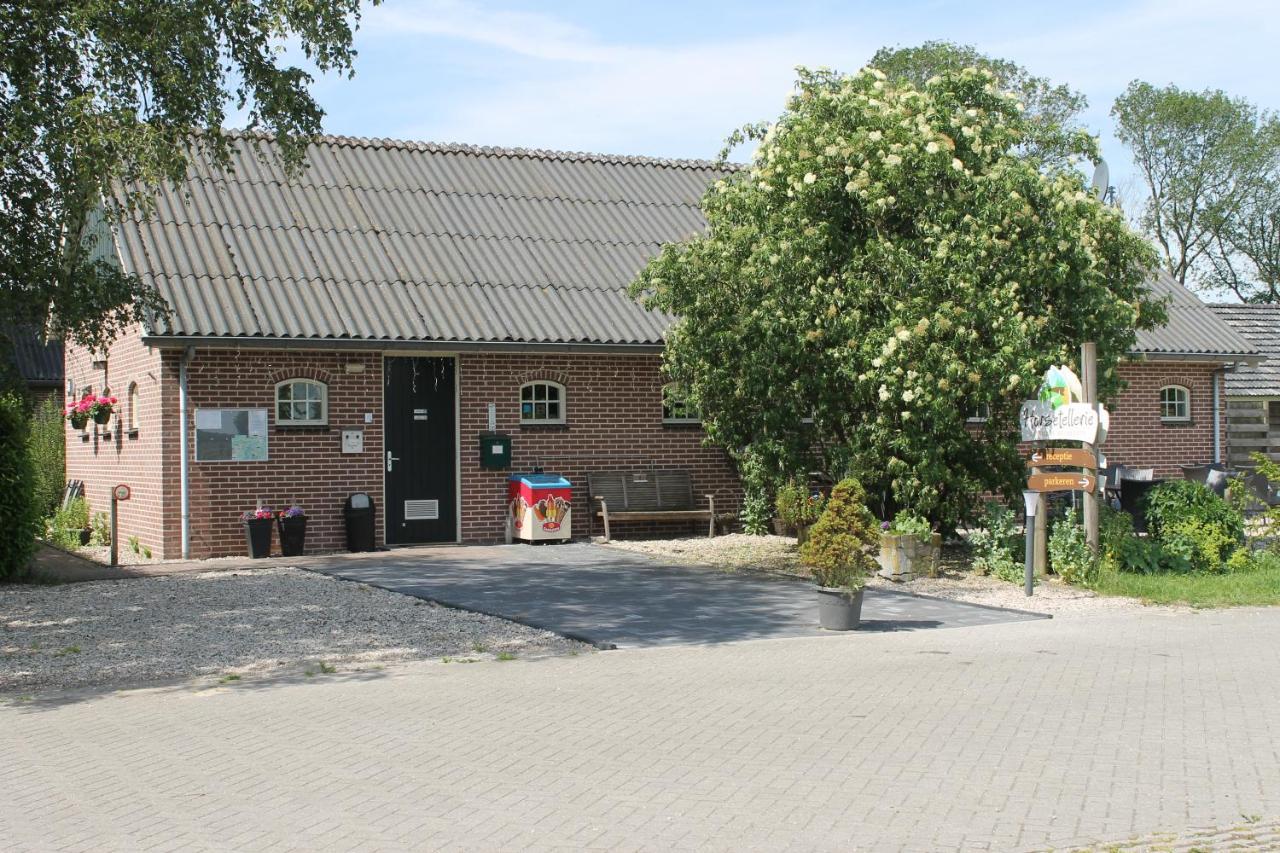 Horsetellerie Rheezerveen 하르덴베르크 외부 사진
